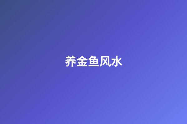 养金鱼风水