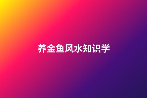 养金鱼风水知识学