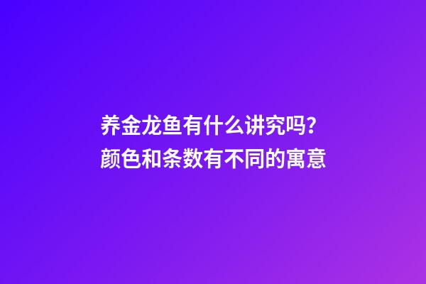 养金龙鱼有什么讲究吗？颜色和条数有不同的寓意