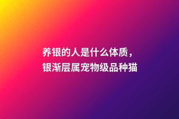 养银的人是什么体质，银渐层属宠物级品种猫-第1张-观点-玄机派