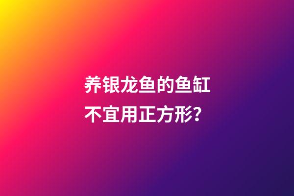 养银龙鱼的鱼缸不宜用正方形？
