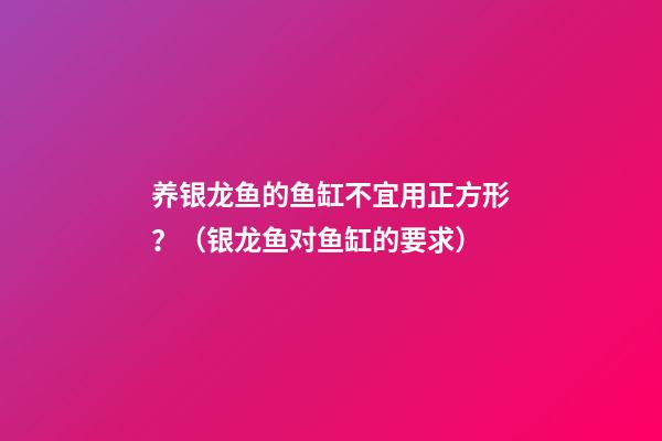 养银龙鱼的鱼缸不宜用正方形？（银龙鱼对鱼缸的要求）