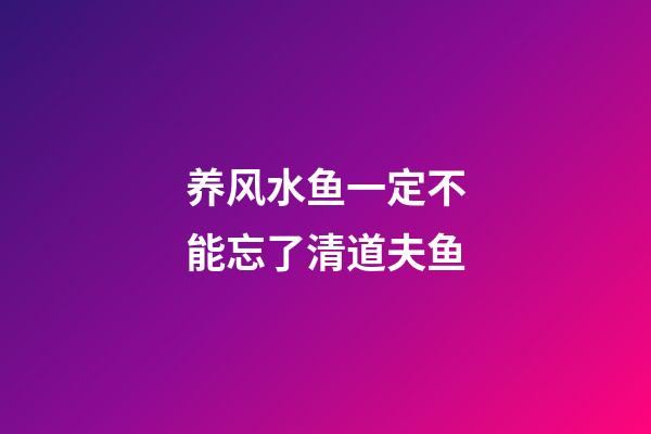 养风水鱼一定不能忘了清道夫鱼