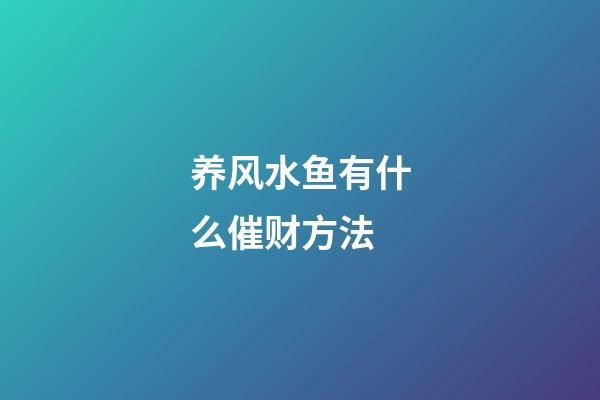 养风水鱼有什么催财方法