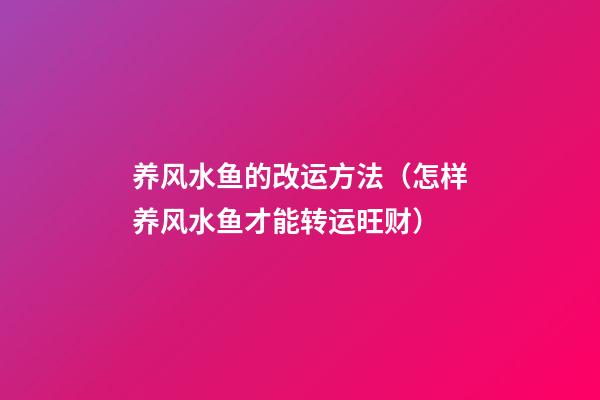 养风水鱼的改运方法（怎样养风水鱼才能转运旺财?）