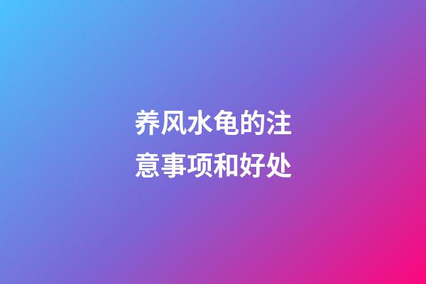 养风水龟的注意事项和好处