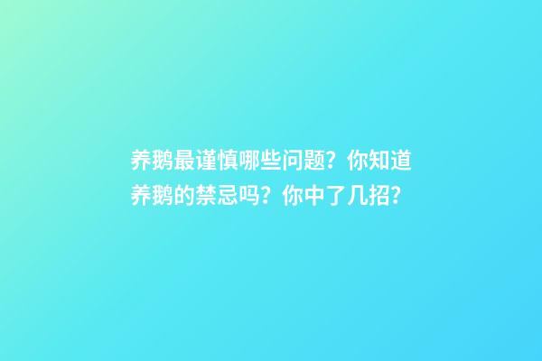 养鹅最谨慎哪些问题？你知道养鹅的禁忌吗？你中了几招？