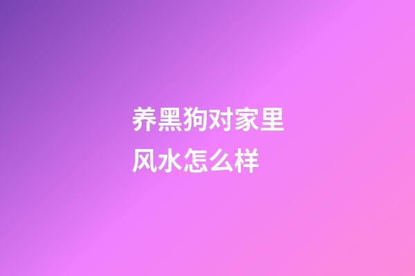 养黑狗对家里风水怎么样