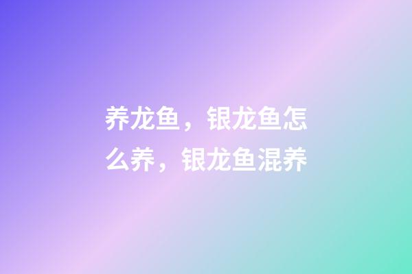 养龙鱼，银龙鱼怎么养，银龙鱼混养