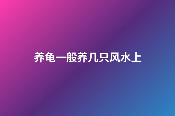养龟一般养几只风水上