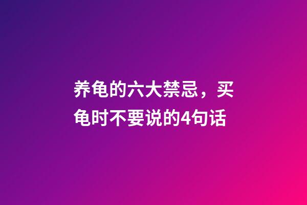 养龟的六大禁忌，买龟时不要说的4句话-第1张-观点-玄机派