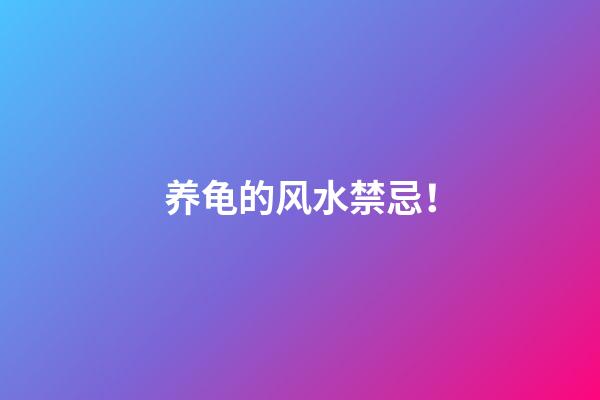 养龟的风水禁忌！