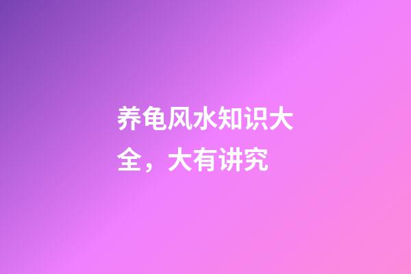 养龟风水知识大全，大有讲究