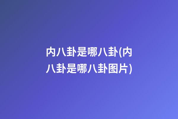 内八卦是哪八卦(内八卦是哪八卦图片)