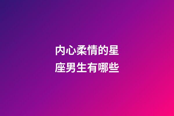内心柔情的星座男生有哪些-第1张-星座运势-玄机派