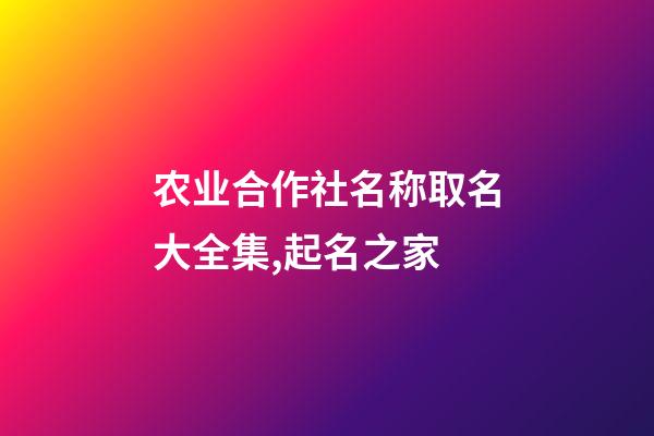 农业合作社名称取名大全集,起名之家-第1张-店铺起名-玄机派