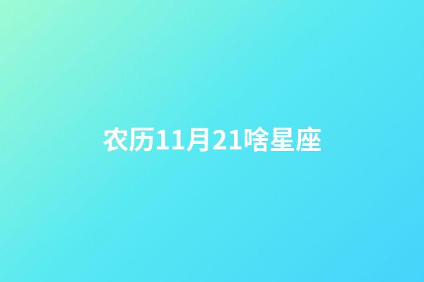 农历11月21啥星座-第1张-星座运势-玄机派