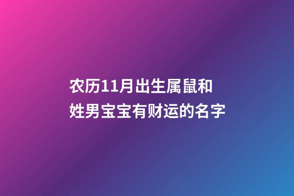 农历11月出生属鼠和姓男宝宝有财运的名字