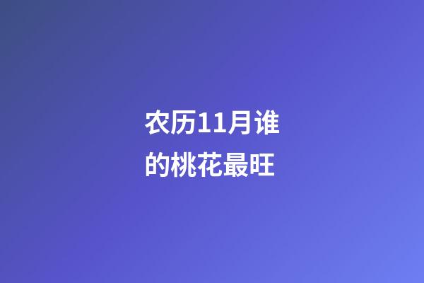 农历11月谁的桃花最旺