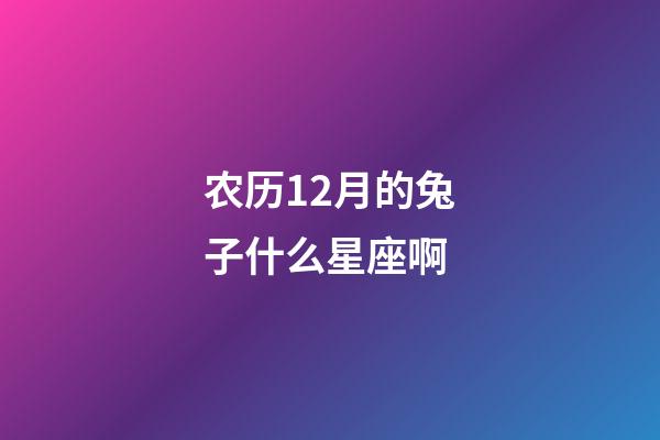 农历12月的兔子什么星座啊-第1张-星座运势-玄机派