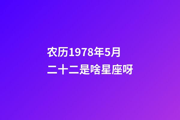 农历1978年5月二十二是啥星座呀-第1张-星座运势-玄机派