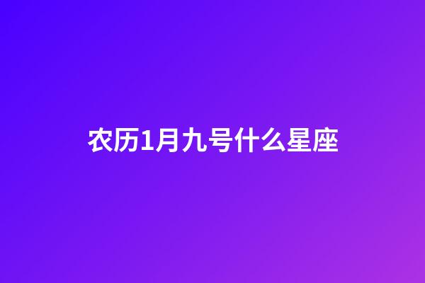 农历1月九号什么星座-第1张-星座运势-玄机派