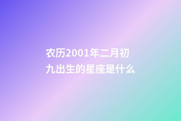 农历2001年二月初九出生的星座是什么-第1张-星座运势-玄机派