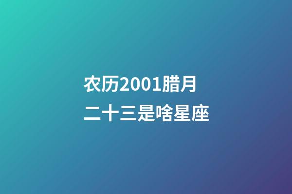 农历2001腊月二十三是啥星座-第1张-星座运势-玄机派