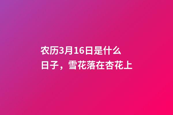 农历3月16日是什么日子，雪花落在杏花上-第1张-观点-玄机派