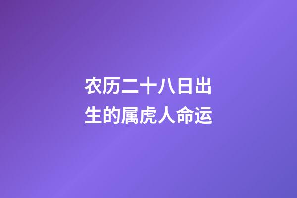 农历二十八日出生的属虎人命运
