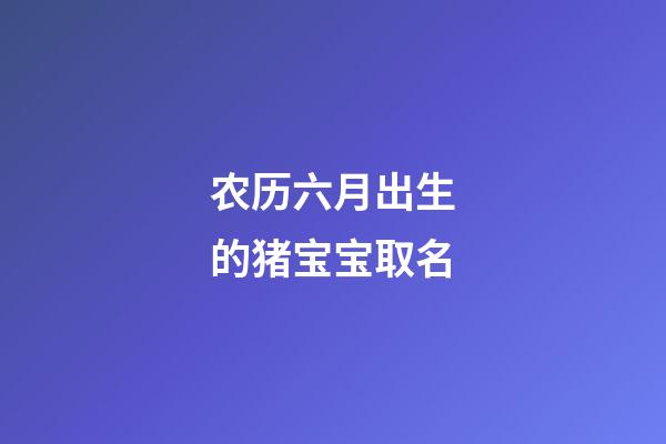 农历六月出生的猪宝宝取名