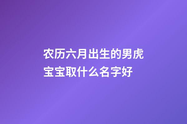 农历六月出生的男虎宝宝取什么名字好(农历6月虎男生人大富大贵)-第1张-男孩起名-玄机派