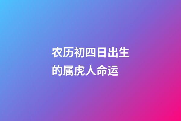 农历初四日出生的属虎人命运