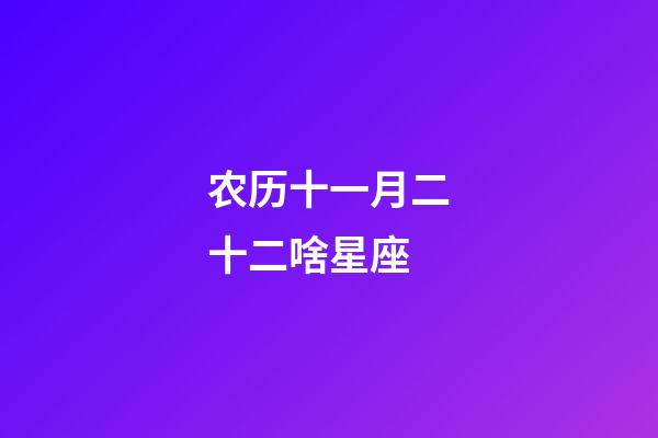 农历十一月二十二啥星座-第1张-星座运势-玄机派