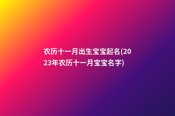 农历十一月出生宝宝起名(2023年农历十一月宝宝名字)
