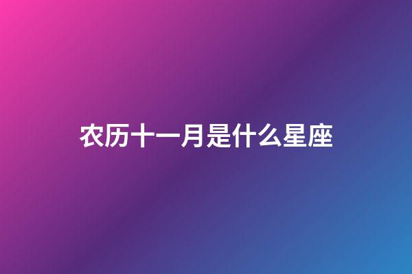 农历十一月是什么星座（唯一管得住射手座的星座）-第1张-星座运势-玄机派