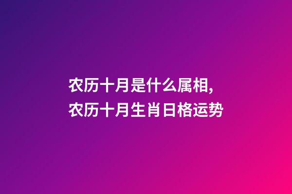 农历十月是什么属相,农历十月生肖日格运势-第1张-观点-玄机派