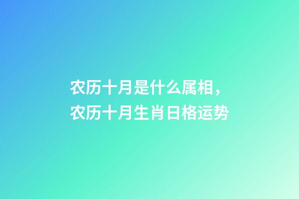 农历十月是什么属相，农历十月生肖日格运势-第1张-观点-玄机派