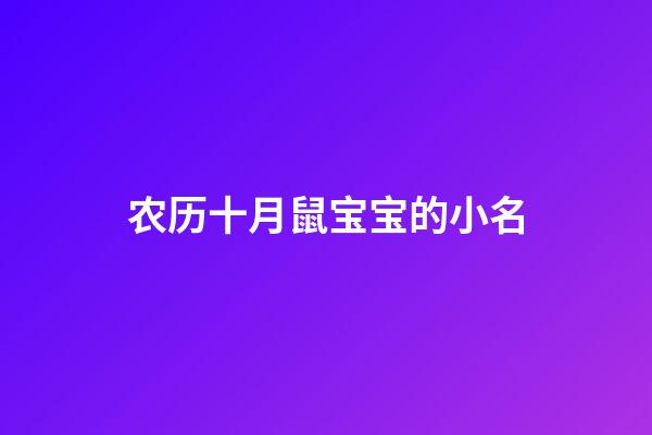 农历十月鼠宝宝的小名