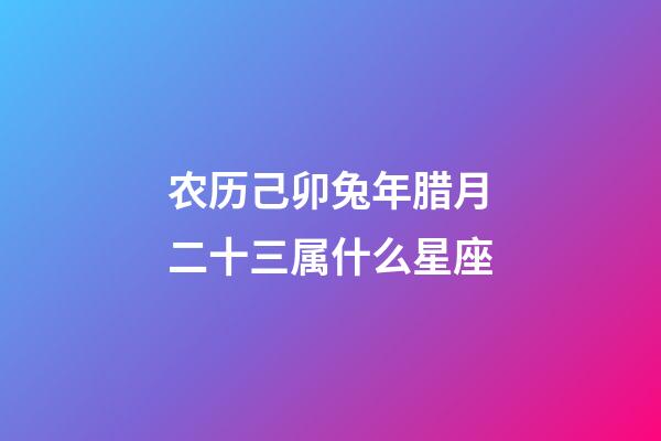 农历己卯兔年腊月二十三属什么星座-第1张-星座运势-玄机派