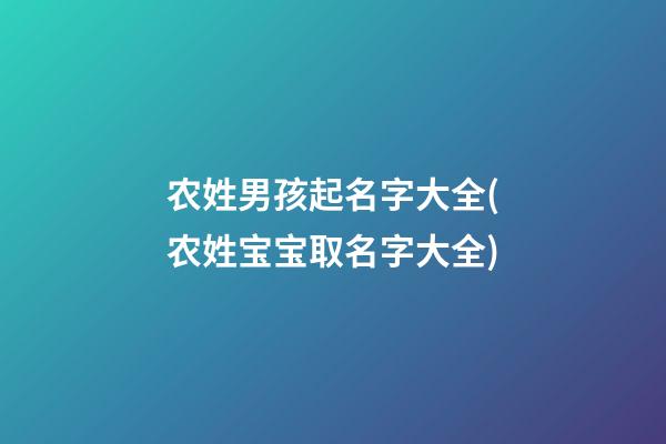农姓男孩起名字大全(农姓宝宝取名字大全)