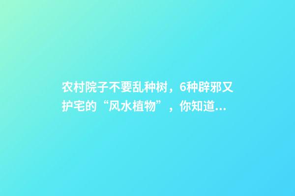 农村院子不要乱种树，6种辟邪又护宅的“风水植物”，你知道几个