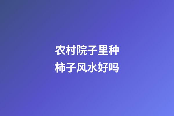 农村院子里种柿子风水好吗