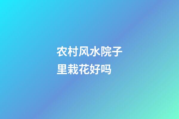 农村风水院子里栽花好吗