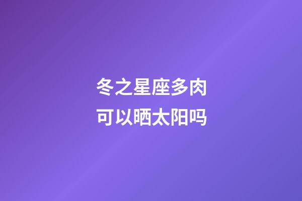 冬之星座多肉可以晒太阳吗