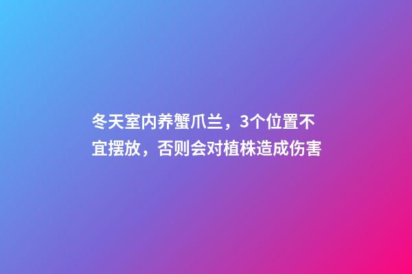冬天室内养蟹爪兰，3个位置不宜摆放，否则会对植株造成伤害