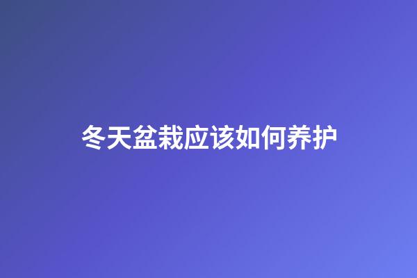 冬天盆栽应该如何养护