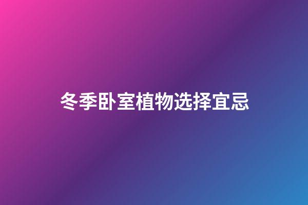 冬季卧室植物选择宜忌