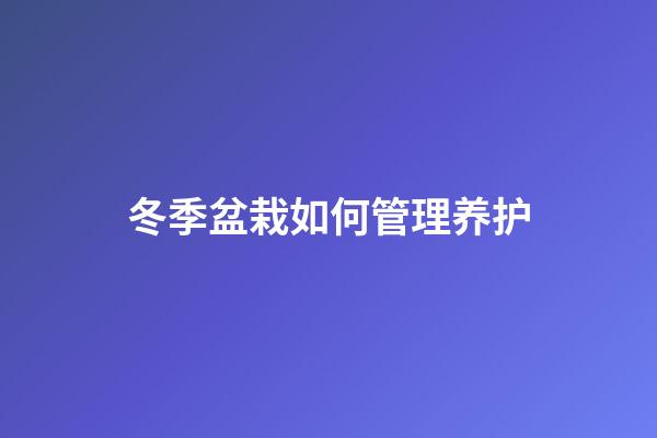 冬季盆栽如何管理养护