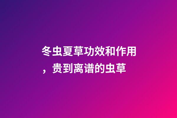 冬虫夏草功效和作用，贵到离谱的虫草-第1张-观点-玄机派